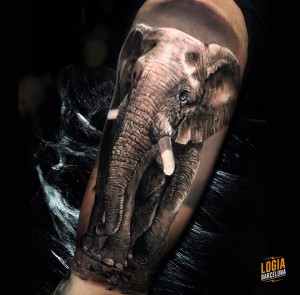 Tatuajes_elefante_realismo_Tobias_Agustini_Logia_Barcelona 